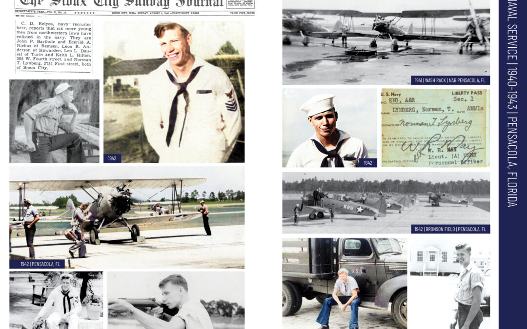 norman t. lynberg: in flight