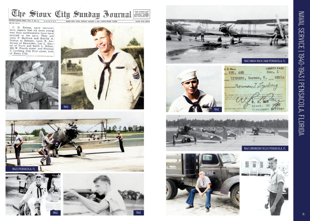 norman t. lynberg: in flight